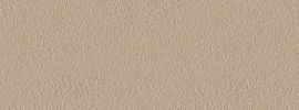 Gray Beige